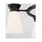 Nuvo Fixture, Chandelier, 5-Lght, Incandescent, 60W, 120V, A19, Medium Base, Height: 27.13 60/7315 - alternate 3